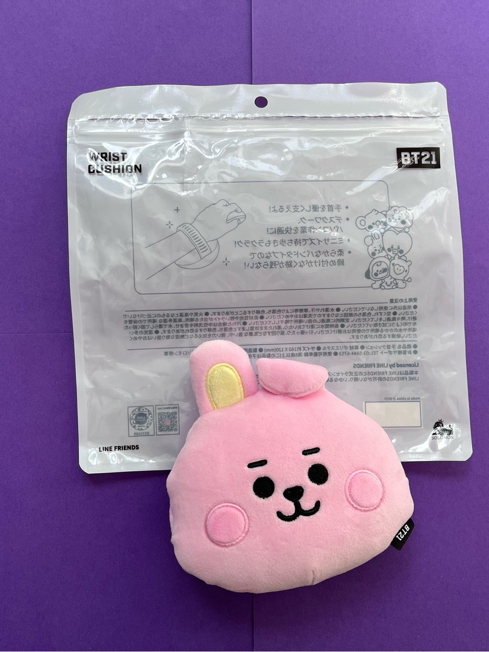 BTS BT 21 Line Friends Cooky Wrist Cushion Japan Import